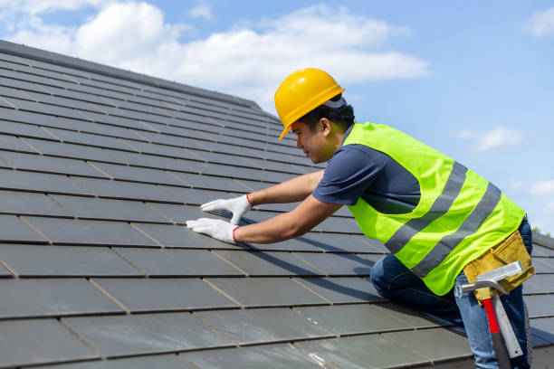 Best Roof Ventilation Installation  in Dupo, IL