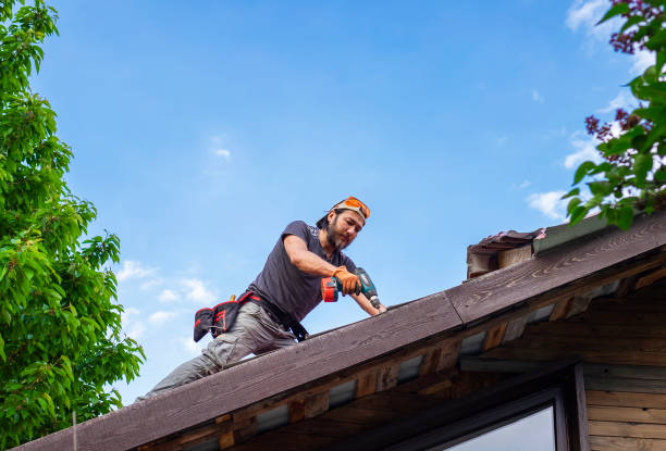 Best Roof Coating and Sealing  in Dupo, IL