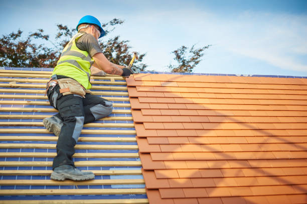 Best Skylight Installation and Repair  in Dupo, IL
